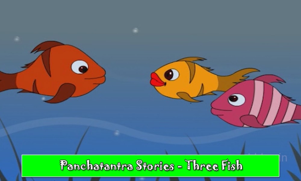 The Tale of Three Fishes