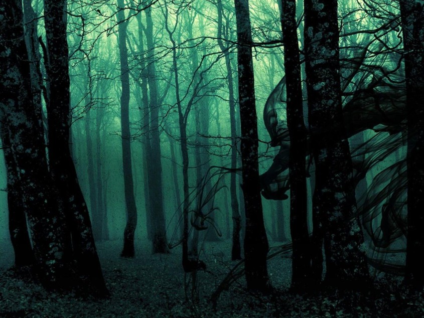 The Black forest