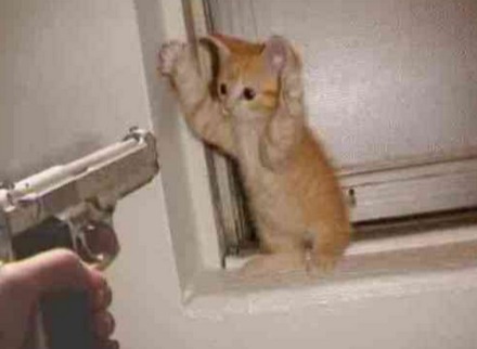 The Cat Killer