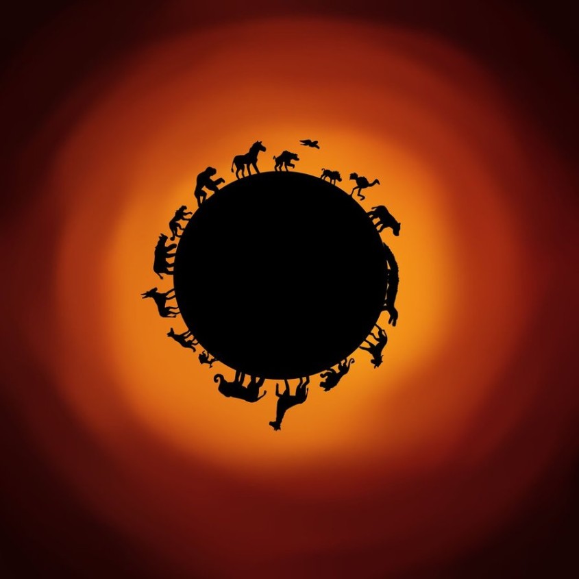 Circle