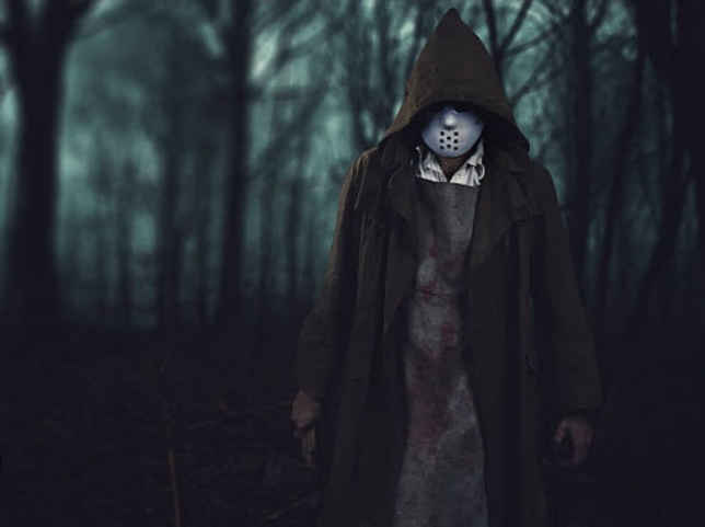 The Masked Man 