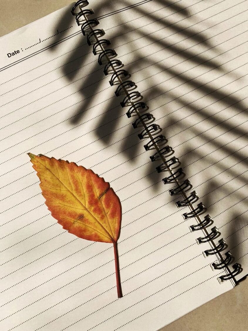 THE LEAF